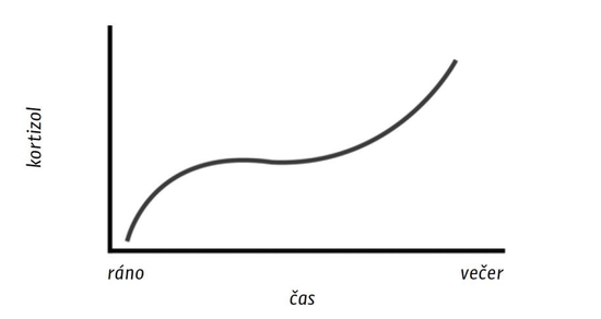 Cortisol levels - tired and tense people